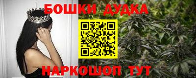 мдпв Камышлов