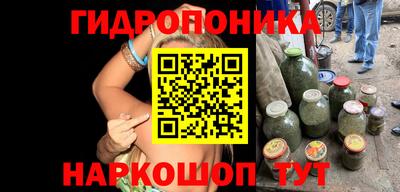 мдпв Камышлов