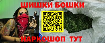 мдпв Камышлов