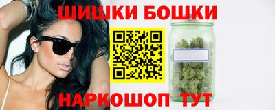 мдпв Камышлов