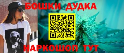 мдпв Камышлов