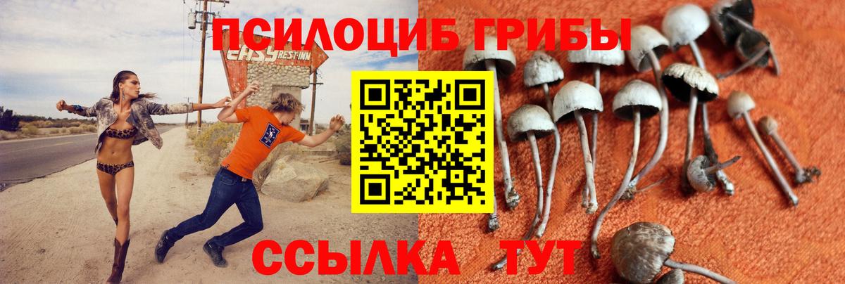 Галлюциногенные грибы MAGIC MUSHROOMS Касимов
