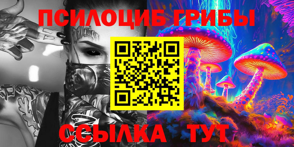 купить наркоту  Вход с VPN  Касимов  Псилоцибиновые грибы мицелий  Псилоцибиновые грибы Psilocybe 